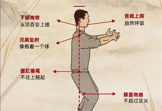 站桩37日 内八圆裆 道法自然