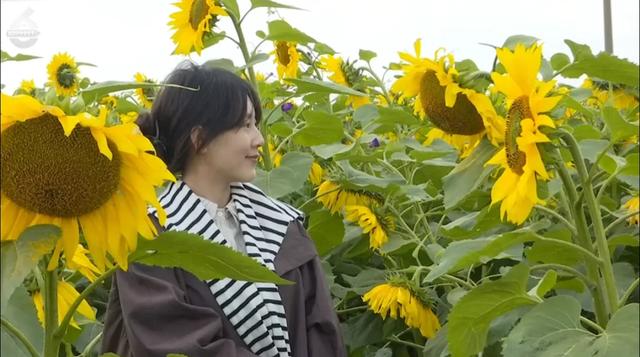 快码住！这里藏着秋日童话世界，出片率100%