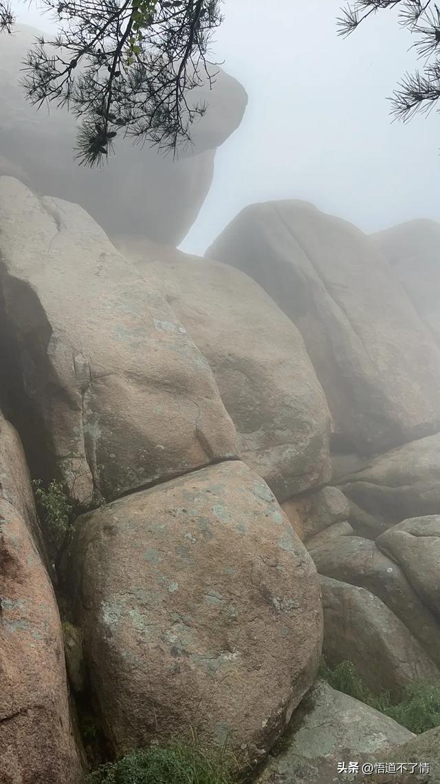 青岛，我来了