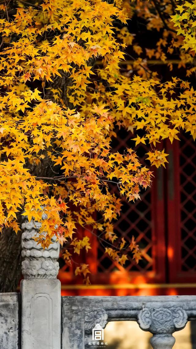 故宫四季美景一览，震撼高清美图预警！