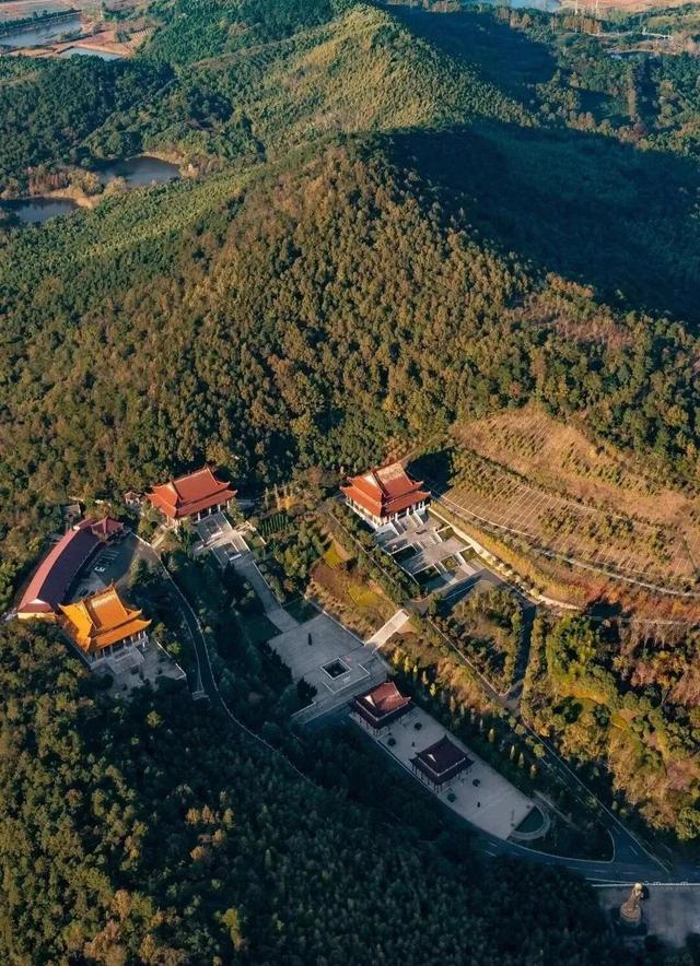 最是橙黄橘绿时