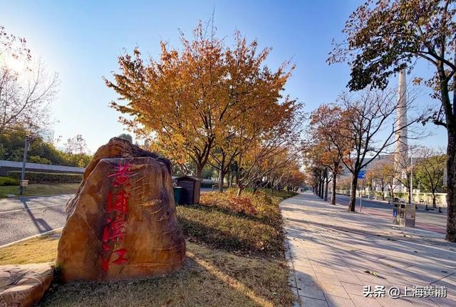 最美的季节！一起来静谧斑斓的黄浦滨江晨跑吧！