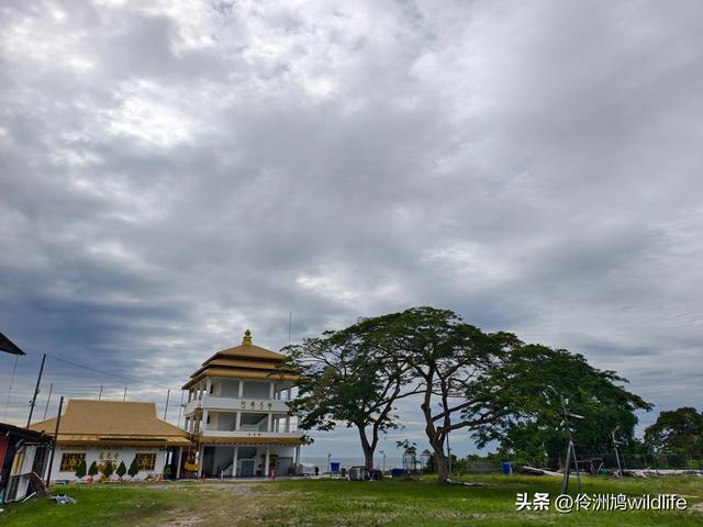 马来西亚(33)砂拉越州⑦美里市加拿大山、海滨公园等