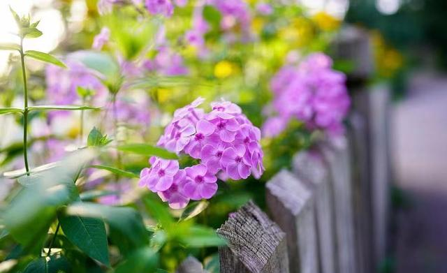 接触的人越多，就越会发现：认知层次越低的低层次人，越油盐不进