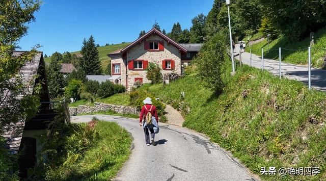 欧游杂记（5）‖ 齿轮火车几上几下瑞吉山，缆车凌空飞跃韦吉斯