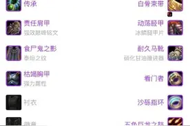 魔兽世界防骑直升装备推荐，格挡率轻松30%以上图片