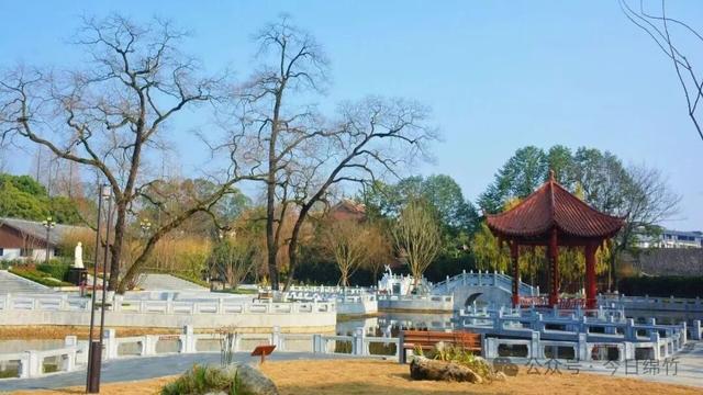 即将开园！绵竹人民公园内部美景提前曝光……