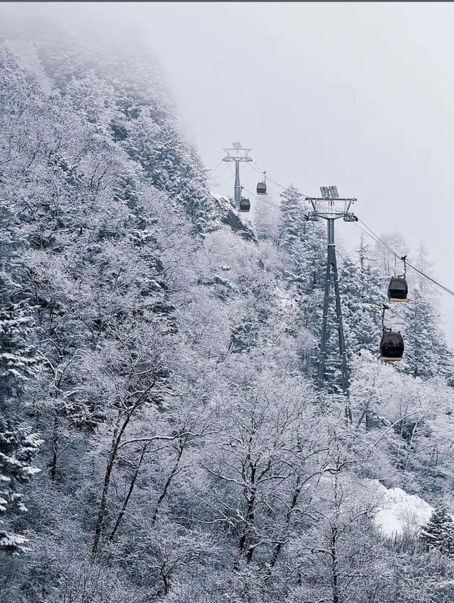 别等春天！陇南的冬日密语里，藏着限定版春日烂漫