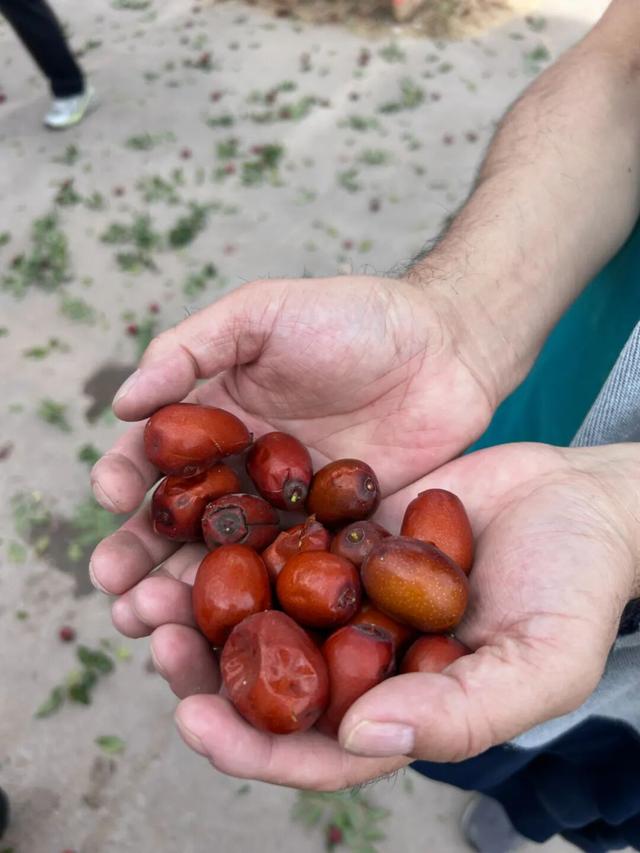 10月	，「需要另一个同类」