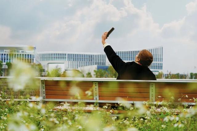 冬崃｜在泉水湖湿地公园，收藏整个冬天的浪漫与生机~