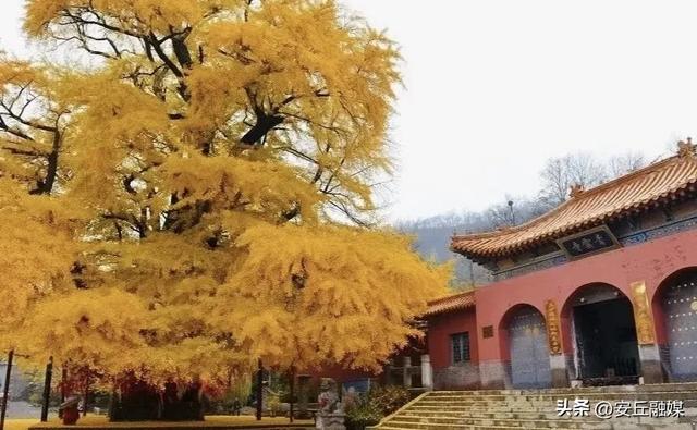 平步青云的潍坊安丘天路