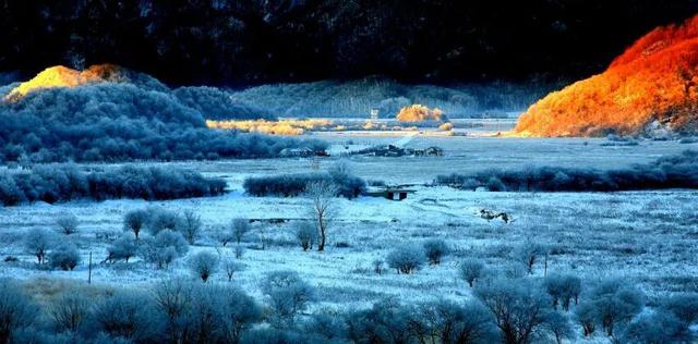 企鹅伴滑、与鹿同行，来神农架原始森林仙境尽情撒欢