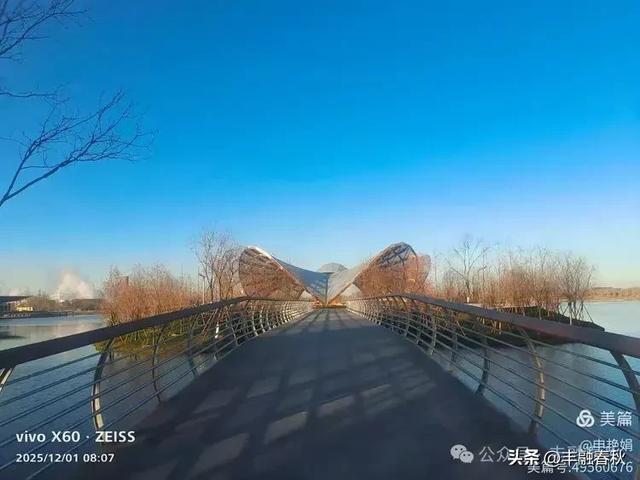 初冬北京朝阳坝河金盏淀:清寒里的静美画卷|申艳娟