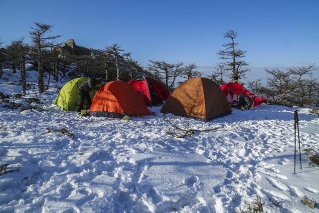 8年禁令鳌太线为何越禁越火？3.5亿爱好者疯抢的“强驴毕业礼”！