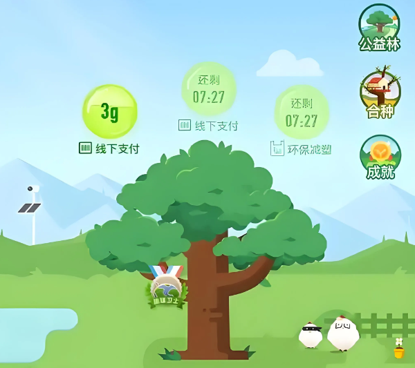 马云斥巨资在沙漠里种树，承诺每年1亿棵，9年过去了，树怎样了
