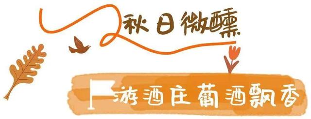 你好啊，烟台的秋天！