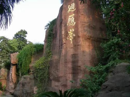 峰巅放目景尤宏