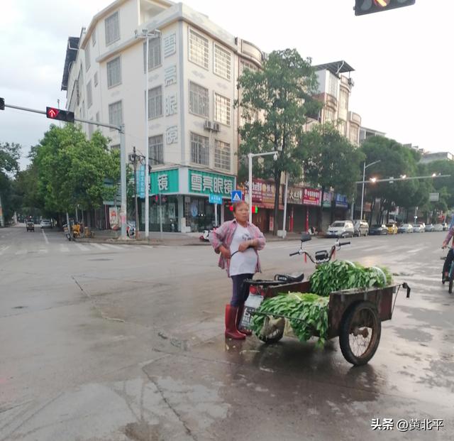 广西南宁市第一大镇果真名不虚传，繁华程度可跟市区有一拼