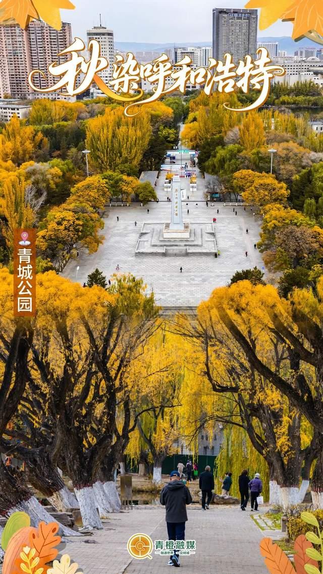 再过几天，呼和浩特就要变成这样了→
