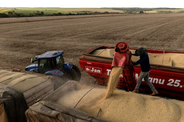 进博会上的美国豆农：依然看好中国市场，不希望农业被政治化