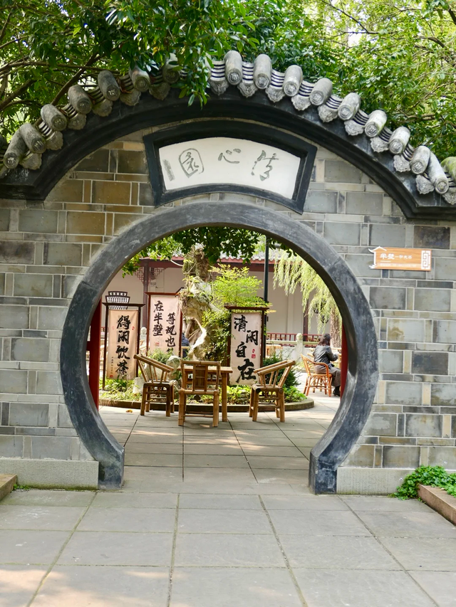 成都地铁10号线直达的小众银杏观赏地，自助美味斋饭好吃到爆！