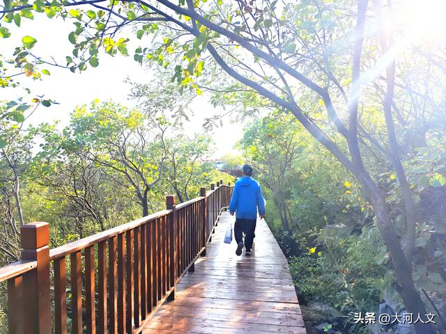 龙翔街道赵庄村窄门峡谷：家门口的“宝藏”健身与赏景胜地
