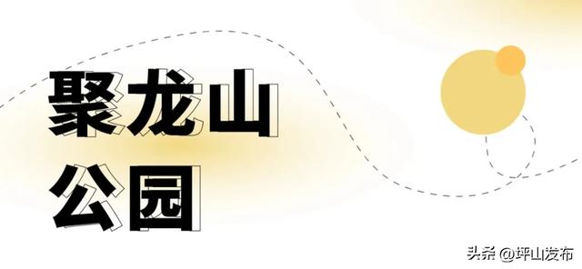 看完你的 看你的，坪山这片格桑花海承包你的秋日治愈感！