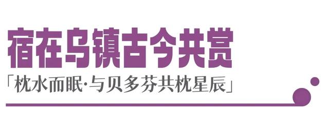 夜 乌 镇 , 新 奇 体 验