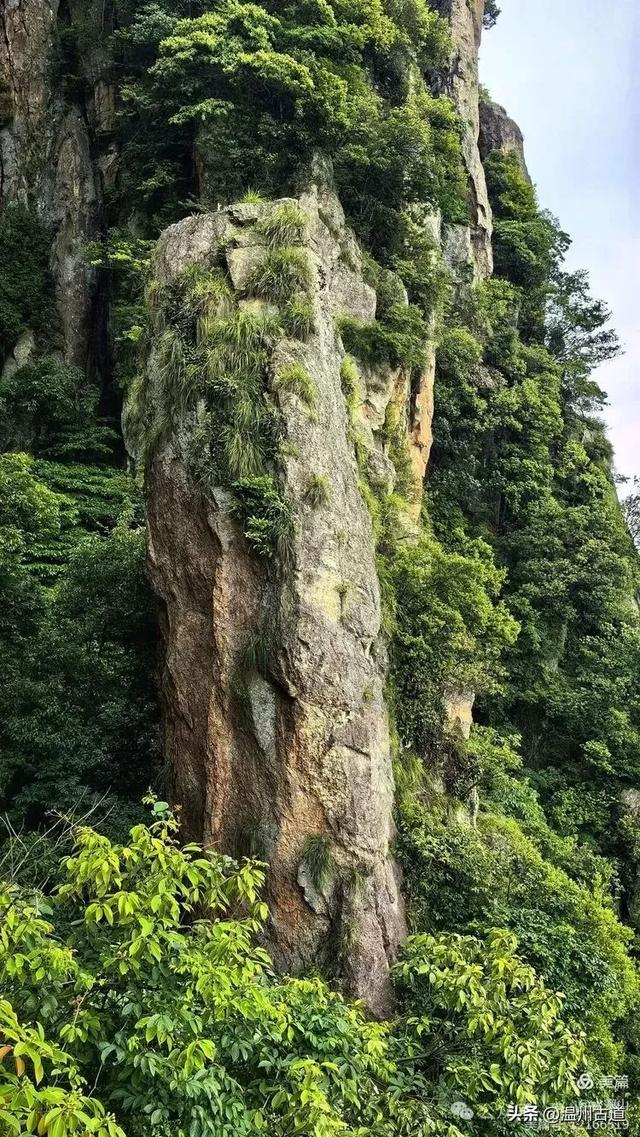 这座有24个奇峰、14个石洞,120处景点的名山你可去过?