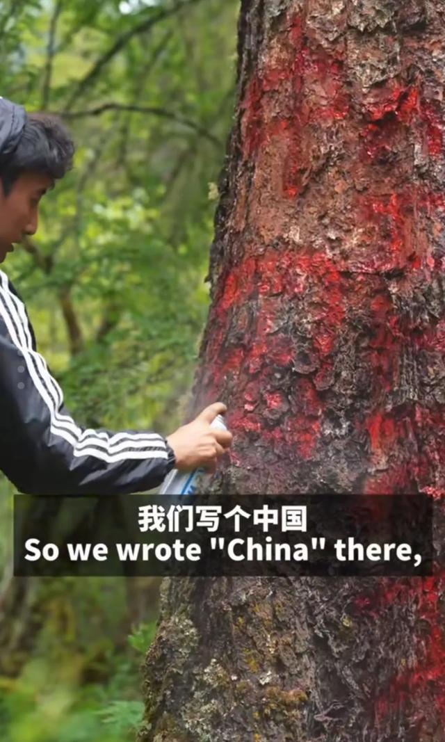 雪域长歌：六十年家国书简