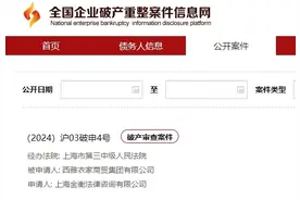 知名服装品牌被申请破产审查！北京、上海只剩3家店，最多可打三折，消费者：价格实惠、质量不错图片