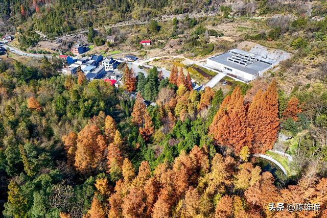 多彩闯王陵：红橙黄绿织就的秘境