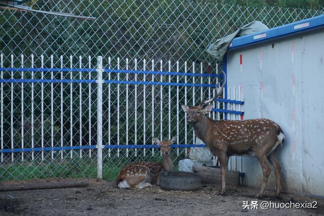 3200公里东北行（D2）——伊春北山公园