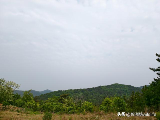 大连海之韵公园·棒槌岛