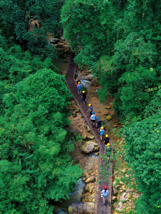 降温啦！佛山这几处免费公园邀你开启惬意“森”呼吸之旅