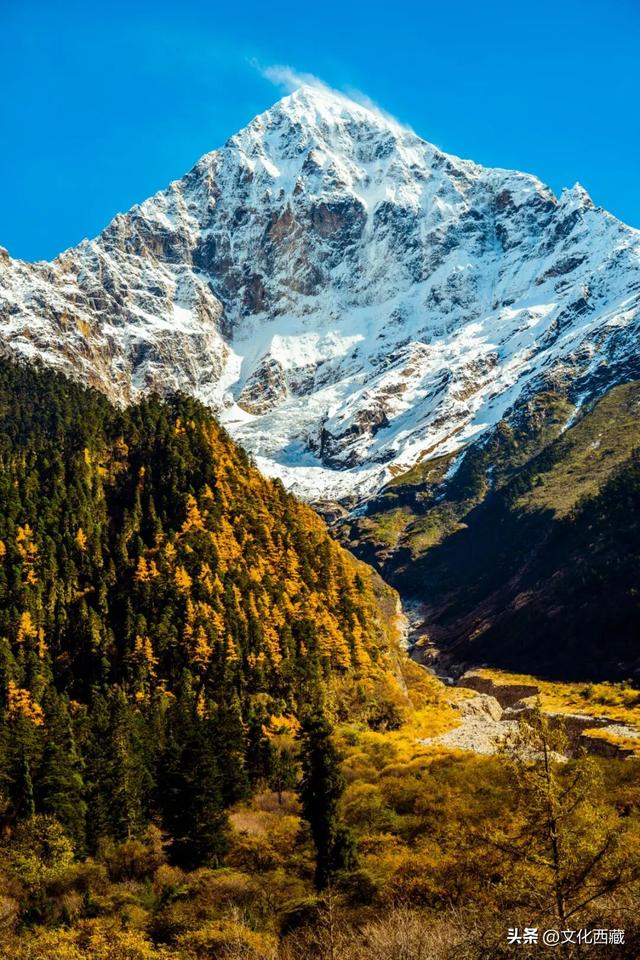 挖到国内巅峰秋景！半山秋色半山雪，不来西藏这里真的亏大了！