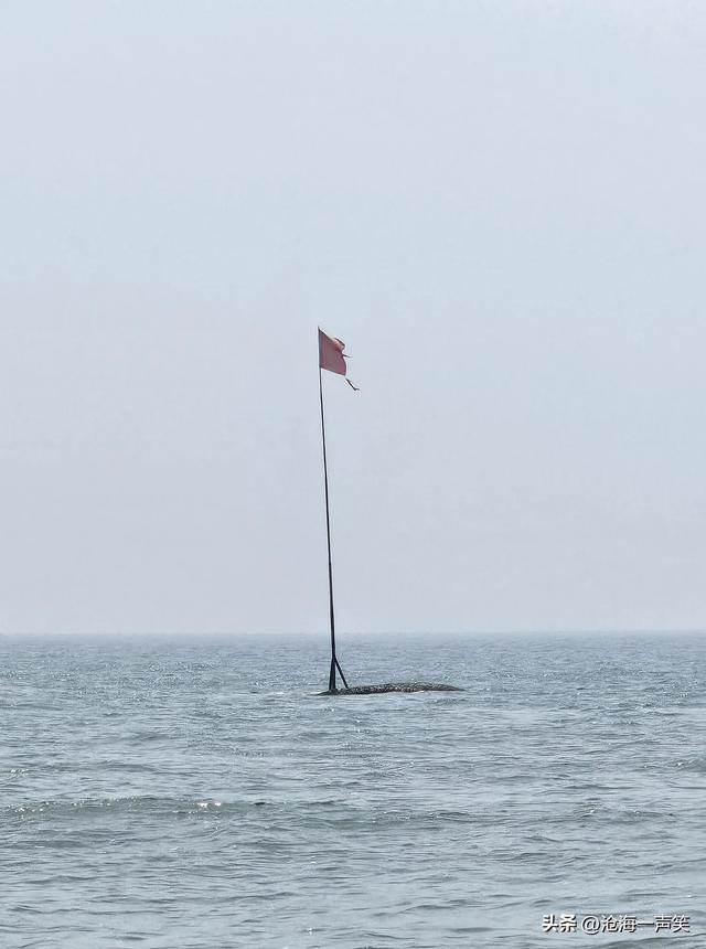 海边的游艇，海边的红旗，海边的游人，畅快淋漓，尽兴而归！