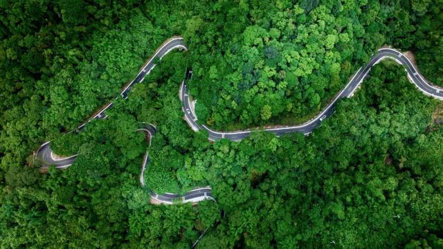 漫游博罗 | 用“五感”打开博罗的夏天