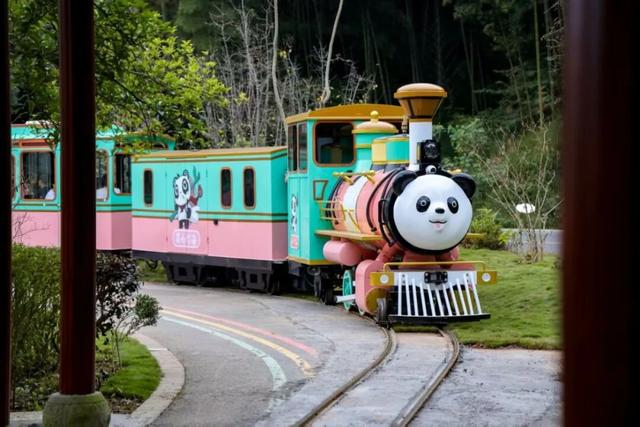 冬日竹海，限时特惠！淡季门票+超值年卡，承包一整年的美景