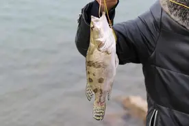 钓友评选“10大好吃”的淡水鱼，品种小众，网友：一大半都没吃过图片