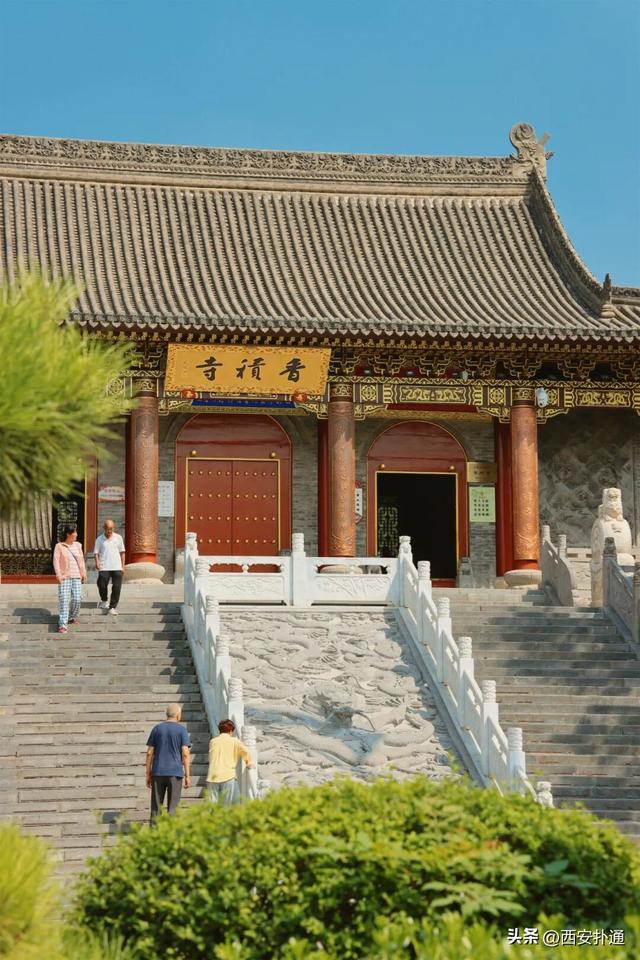 上一个晴天，为你“抢收”了5片金灿灿的桂花