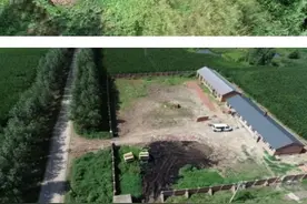 哈尔滨发布4起环境违法典型案例图片