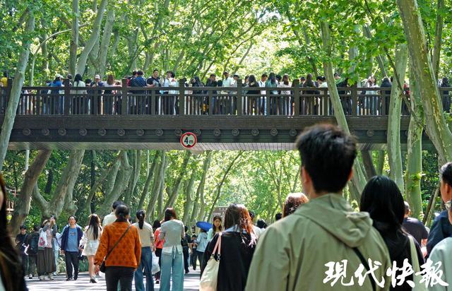 五一南京变人海：700条船不够用，全在看后脑勺！