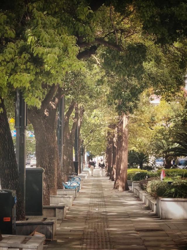 叮！你有一份上海秋日漫步地图待解锁→