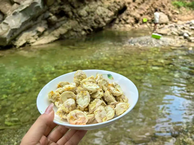武都：快躲进黄坪25℃的清凉秘境