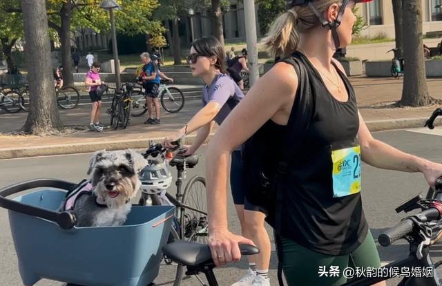 我发掘了一件活着的“艺术作品”