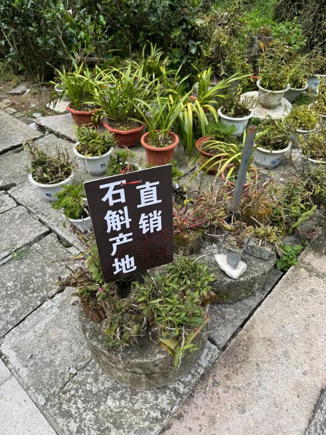 徒步三山五岳：浙江雁荡山！