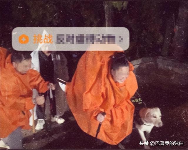 爬泰山的作死夫妻被制裁！导盲犬被收回，身份被扒，家里还有一只