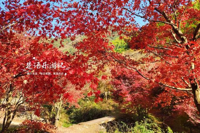 浙江宁波这两条古道堪称黄金组合，景色比油画还要美，游玩正当时