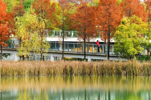 青睐绵阳 || 这里，绝美，超出片！